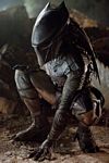 predators-foto-051.jpg