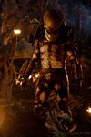 predators-foto-056.jpg